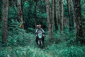 BIB: 
                            <button type="button" onclick="openModal(25238199)" class="btn btn-primary btn-sm float-right btn-popup" data-toggle="modal" data-target=".modal-high-quality">
                        <i class="fas fa-shopping-cart"></i> Add to Cart
                    </button>
                                            <button type="button" onclick="isThisMe(25238199, true)" class="btn btn-success btn-sm float-right btn-popup btn-isme hidden" data-toggle="tooltip" data-placement="bottom" title="นี่คือรูปของคุณใช่ไหม คลิกที่นี่เพื่อเอาเข้าอัลบั้ม">
                        <i class="fas fa-plus"></i> Add to album
                    </button>
                    <button type="button" onclick="isThisMe(25238199, false)" class="btn btn-warning btn-sm float-right btn-popup btn-isnotme hidden">
                        <i class="fas fa-ban"></i> Remove from album
                    </button>